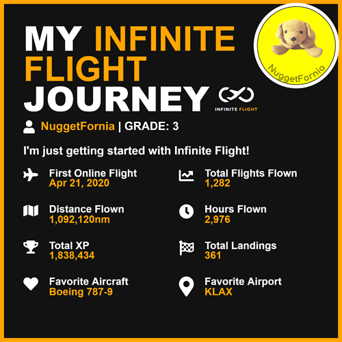 InfiniteFlightDebrief