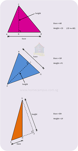 triangle_base_height_measurement