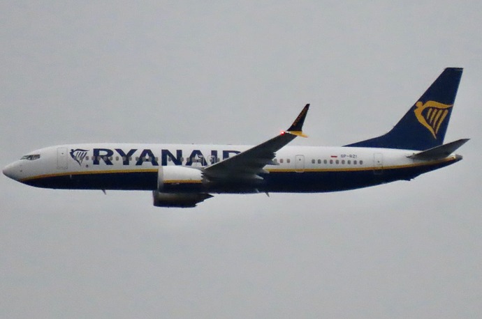 51753491361_0725c89e56_o