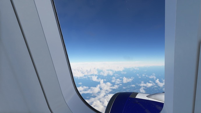 Microsoft Flight Simulator (5)