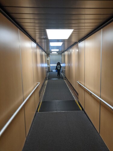 PXL_20211105_160332388